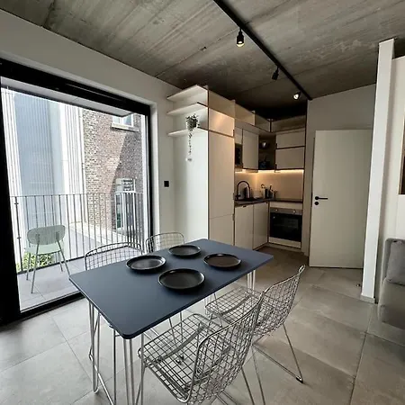 דירה Loft 202 לייז'